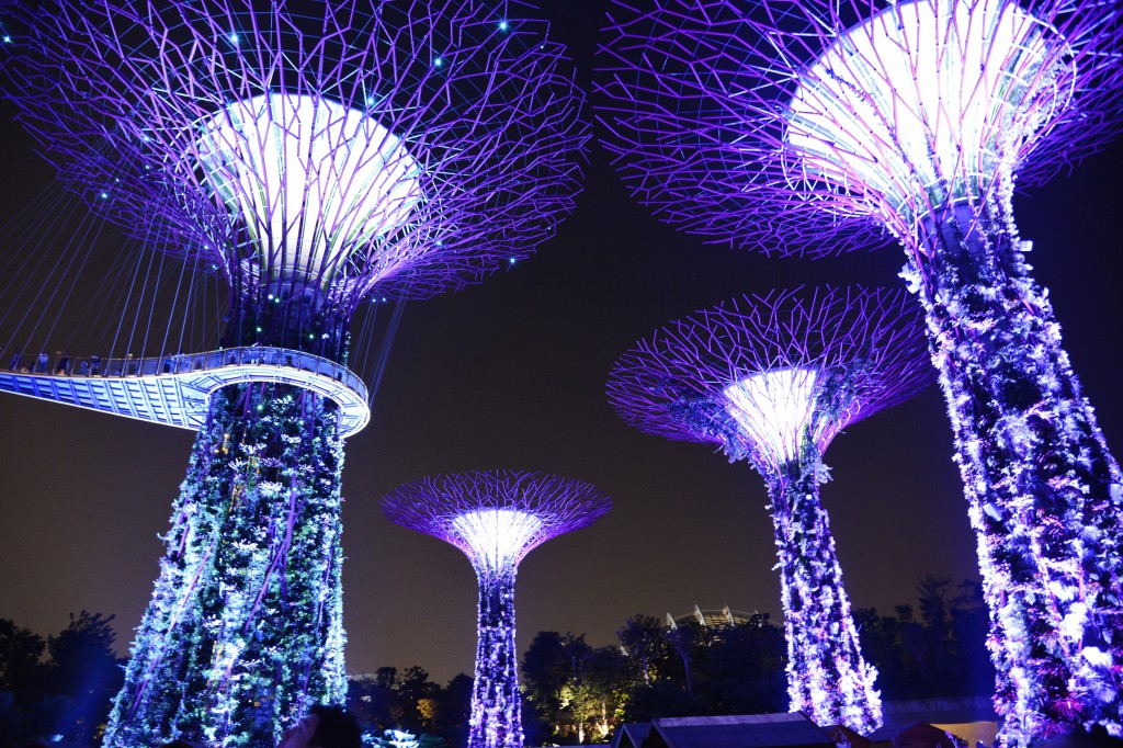 gardens by the bay 17