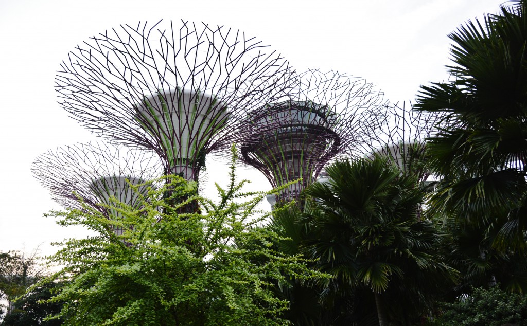 gardens by the bay 2