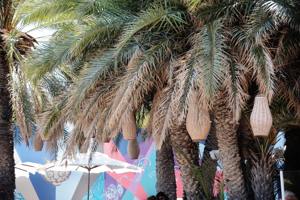 flamm beach club 4